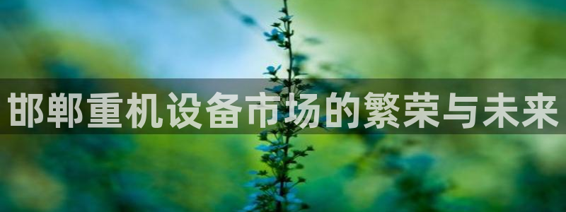 威九国际网站入口&rdpuo