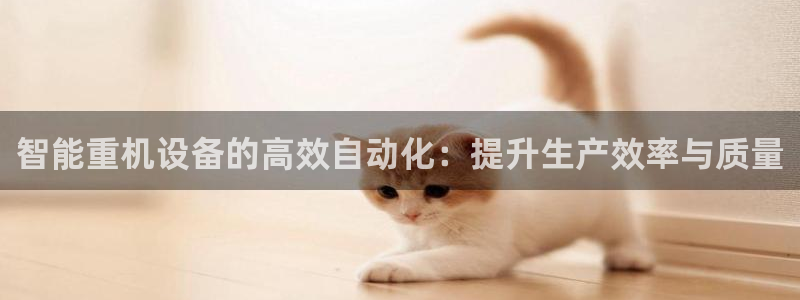 威九国际H