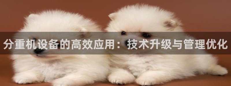 威九国际免费版