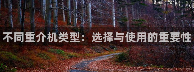 威九国际78mb官网