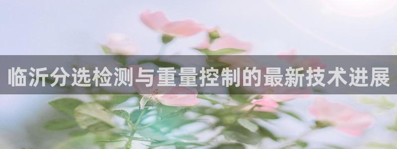 威九国际电子有限公司：临沂分选检测与重量控制的最新技术进展
