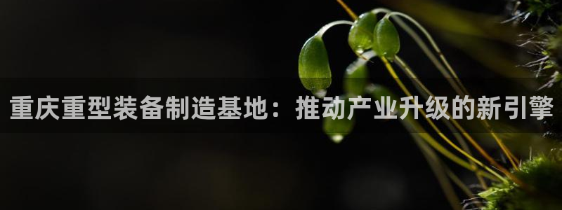 威九国际网站进入产品分类
