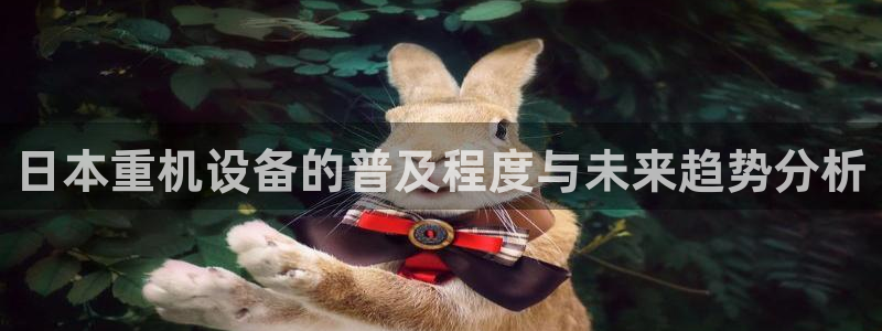威九国际安全吗的认证团队：日本重机设备的普及程度与未来趋势分