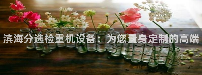 78mapp威九国际网：滨海分选检重机设备：为您量身定制的高