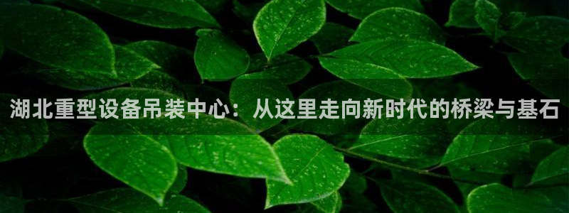 威九国际可以提现吗安全吗：湖北重型设备吊装中心：从这里走向新