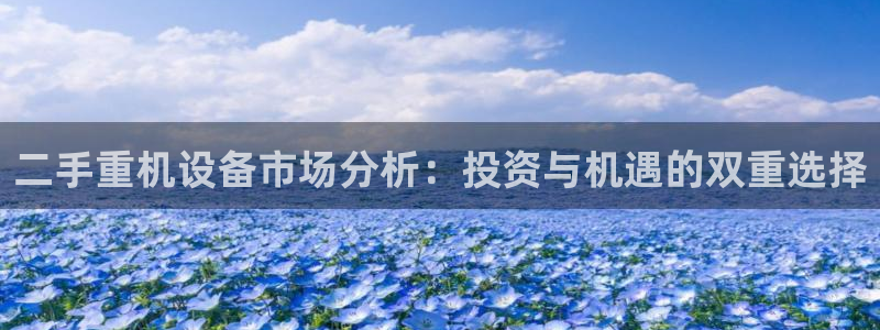 威九国际正规吗：二手重机设备市场分析：投资与机遇的双重选择