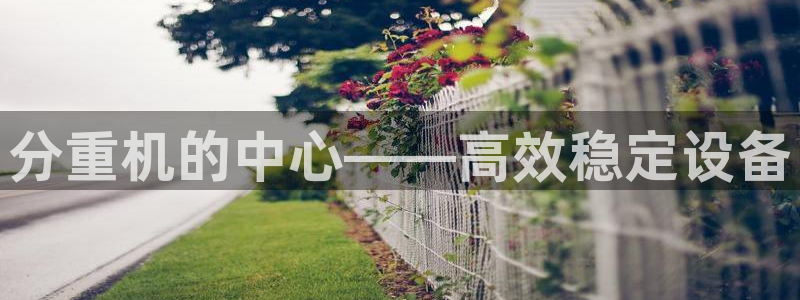 威九国际APP大全：分重机的中心——高效稳定设备