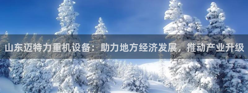 威九国际78mb42斗罗大陆：山东迈特力重机设备：助力地方经