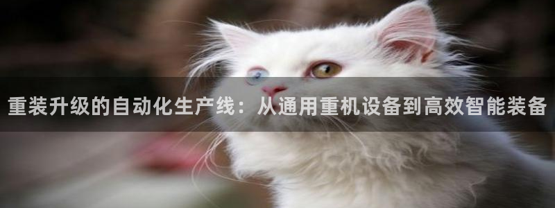 威九国际网站进入客服中心：重装升级的自动化生产线：从通用重机