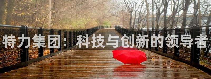 威九国际客服电话：特力集团：科技与创新的领导者