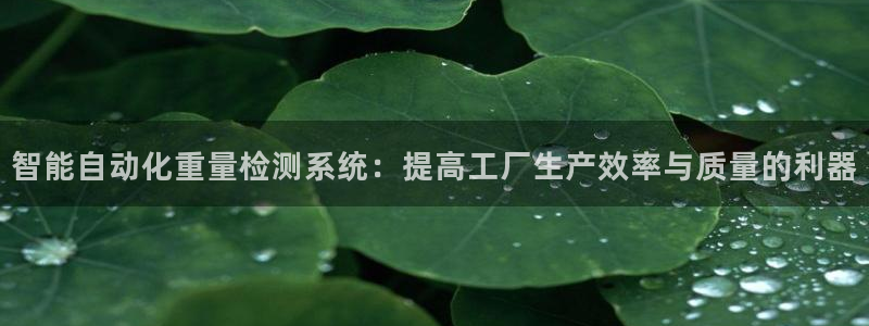 威九国际v96 bet会黑吗：智能自动化重量检测系统：提高工