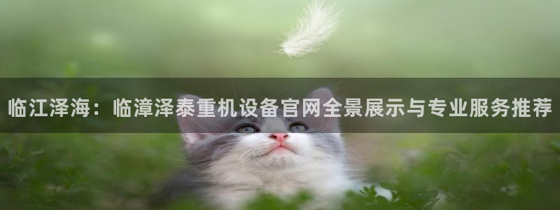 威九国际官网登录入口网站：临江泽海：临漳泽泰重机设备官网全景