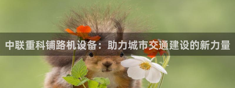 威九国际网站入口地址在哪里：中联重科铺路机设备：助力城市交通
