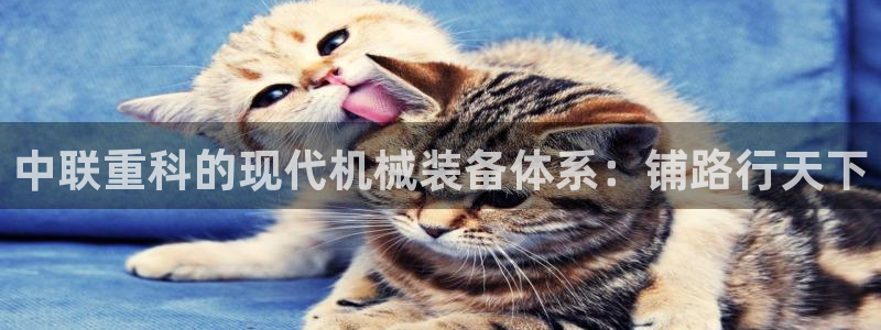 威九国际的演员
