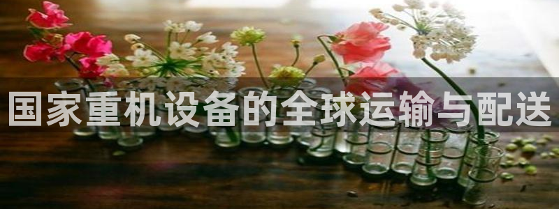 威九国际精彩视频2022年：国家重机设备的全球运输与配送