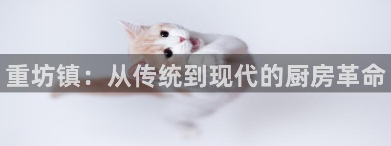 威九国际软件公司简介：重坊镇：从传统到现代的厨房革命