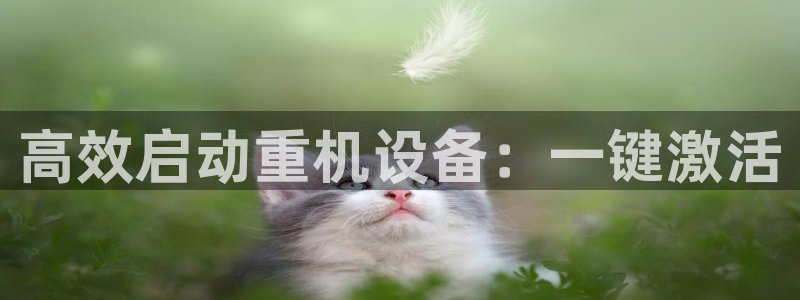 威九国际的金融服务