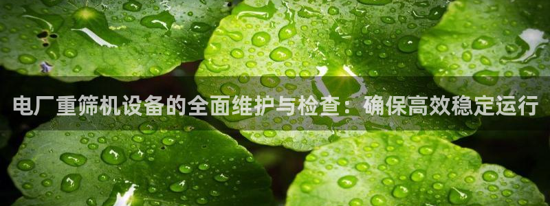 威九国际mm