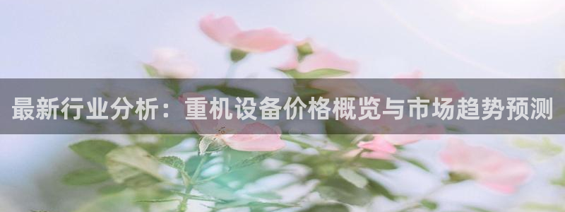 威九国际78mob网页：最新行业分析：重机设备价格概览与市场