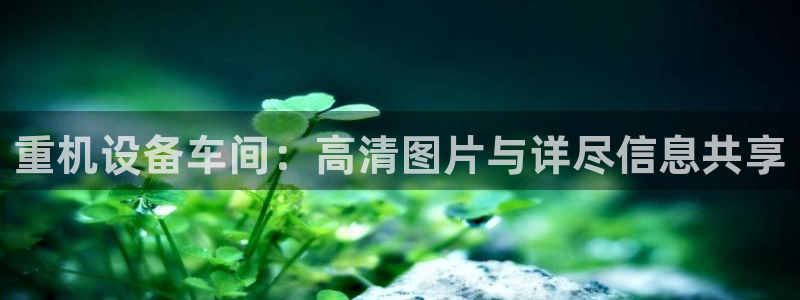 威九国际取款多到账：重机设备车间：高清图片与详尽信息共享
