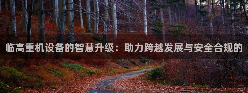 威九国际客服电话是多少