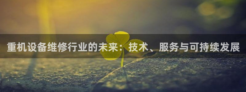 威九国际的演员：重机设备维修行业的未来：技术、服务与可持续发