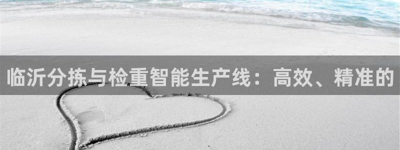 威九国际惠子：临沂分拣与检重智能生产线：高效、精准的