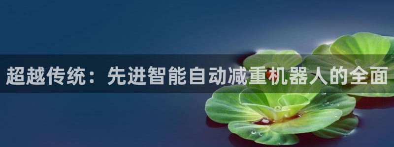 威九国际成长模式