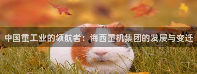 威九国际特殊奖励我的奖励竟然是嫂子：中国重工业的领航者：海西