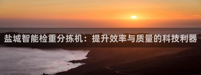 威九国际66m66m电影：盐城智能检重分拣机：提升效率与质量