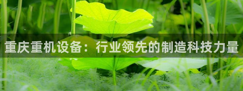 威九国际女明星：重庆重机设备：行业领先的制造科技力量
