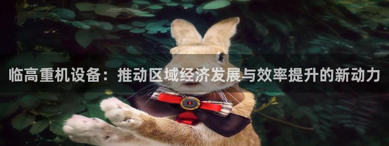 威九国际78mann：临高重机设备：推动区域经济发展与效率提