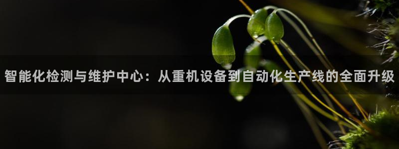 威九国际小说：智能化检测与维护中心：从重机设备到自动化生产线