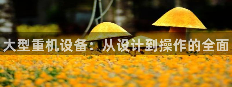 威九国际网站经常打不开怎么办