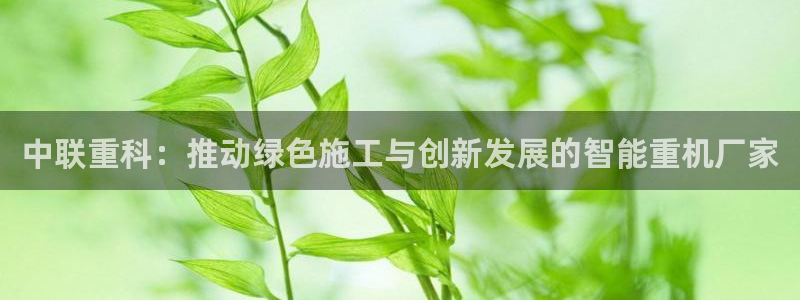 威九国际网站安全吗可靠吗：中联重科：推动绿色施工与创新发展的