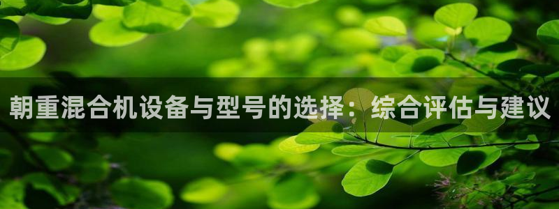 威九国际精选酒店地址：朝重混合机设备与型号的选择：综合评估与
