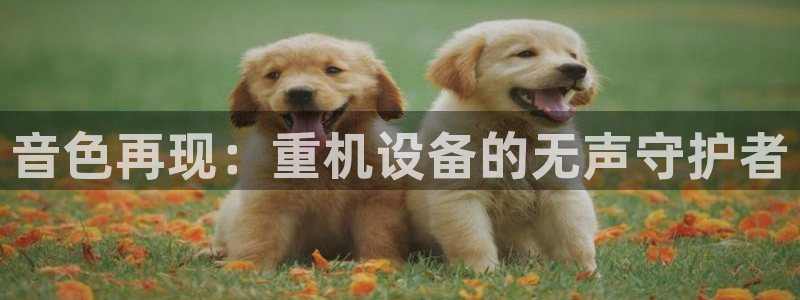 威九国际官网登录入口网站：音色再现：重机设备的无声守护者