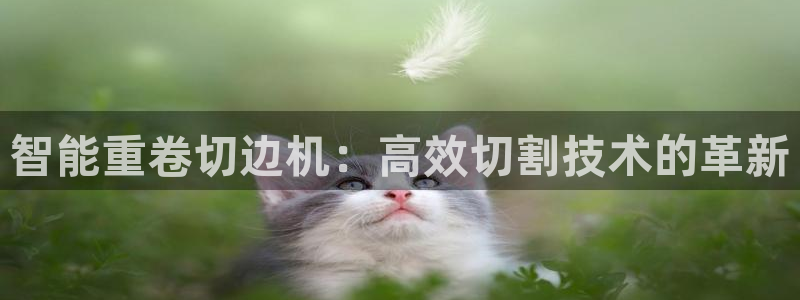 威九国际系列：智能重卷切边机：高效切割技术的革新