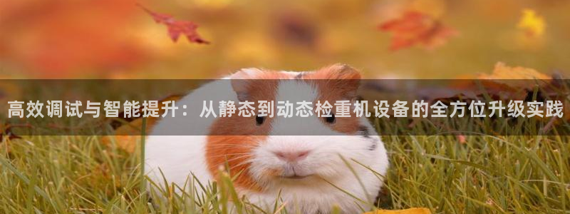 78mapp威九国际网页版