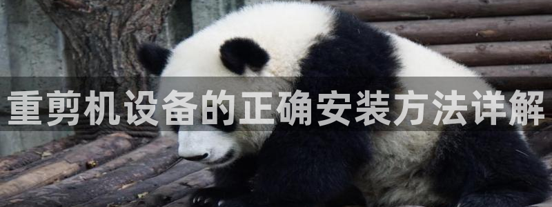 威九国际EVA：重剪机设备的正确安装方法详解
