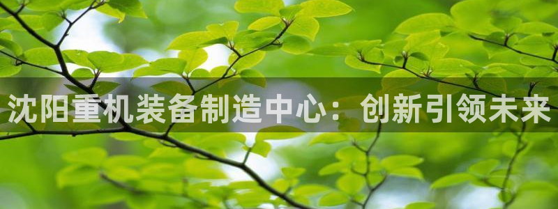 威九国际理论片最经典十首歌曲：沈阳重机装备制造中心：创新引领