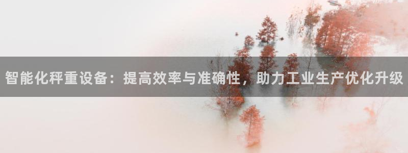 威九国际狂飚电影：智能化秤重设备：提高效率与准确性，助力工业