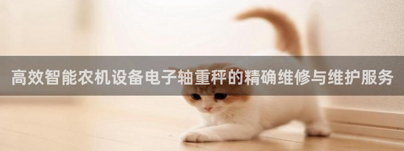 威九国际APP下载：高效智能农机设备电子轴重秤的精确维修与维