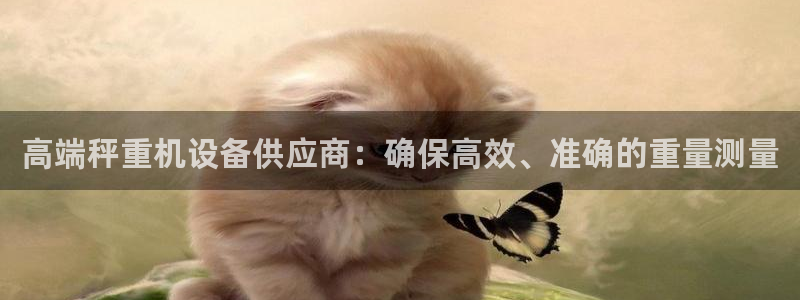 威九国际韩国：高端秤重机设备供应商：确保高效、准确的重量测量