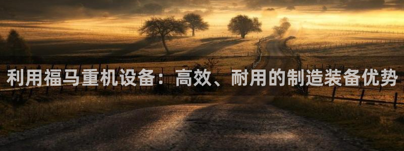 威九国际网站入口地址：利用福马重机设备：高效、耐用的制造装备