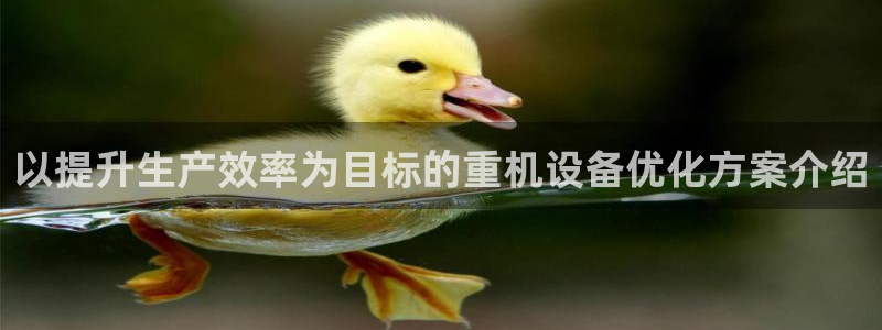 威九国际女神：以提升生产效率为目标的重机设备优化方案介绍