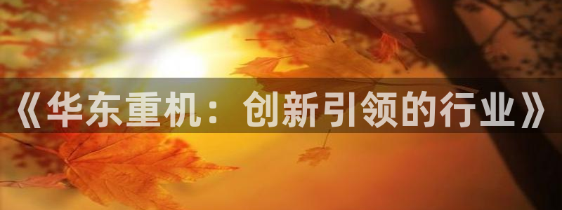 威九国际海域：《华东重机：创新引领的行业》