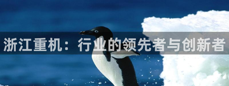 威九国际66m66