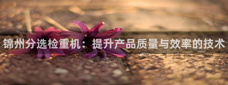 威九国际78：锦州分选检重机：提升产品质量与效率的技术