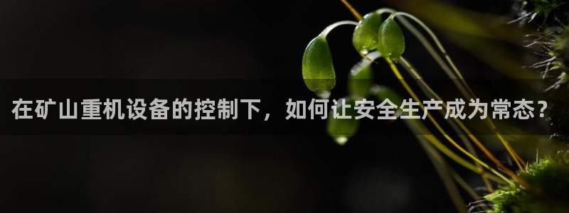 威九国际最近的视频：在矿山重机设备的控制下，如何让安全生产成